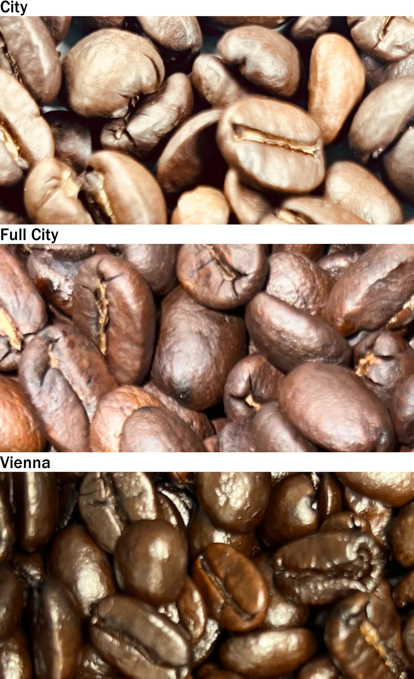 Guatemalan